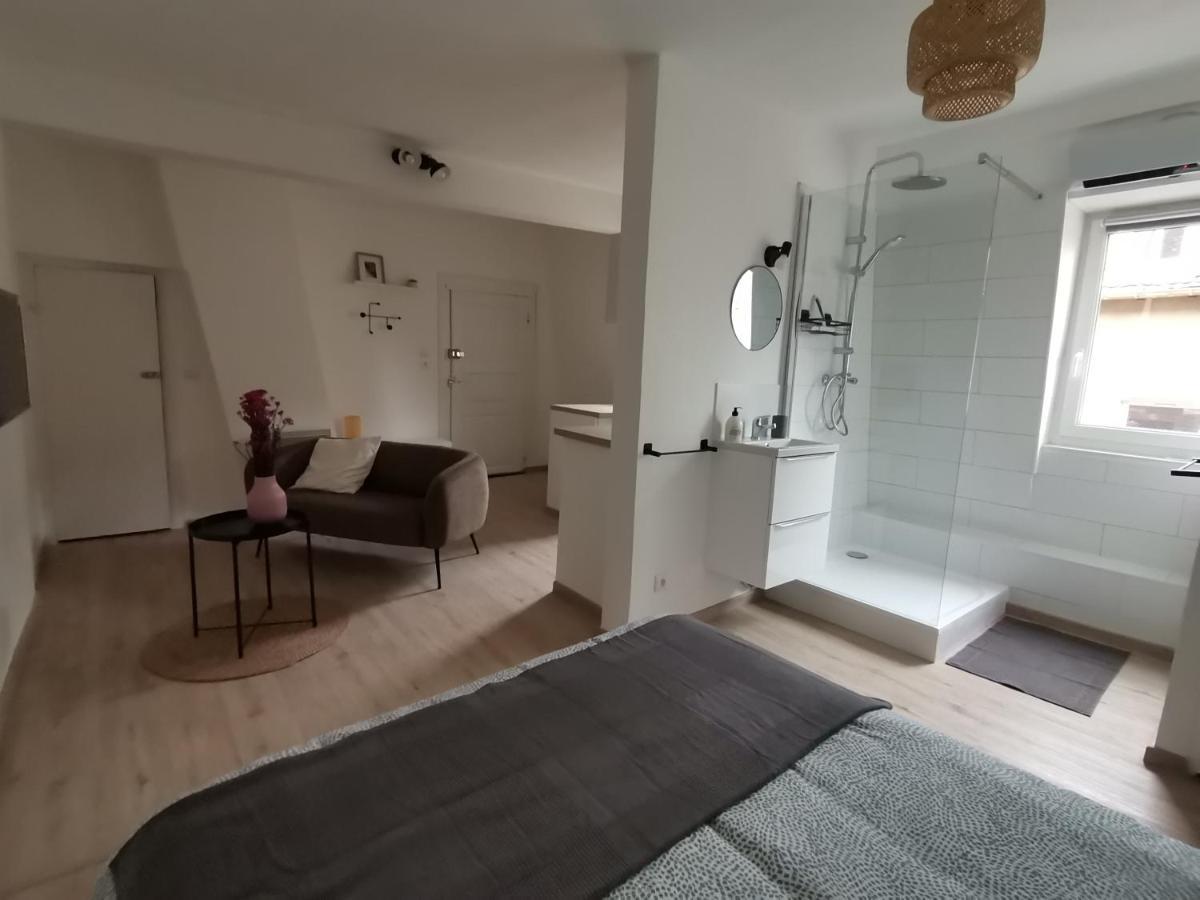 Toi Mon Toit Apartment Колмар Екстериор снимка